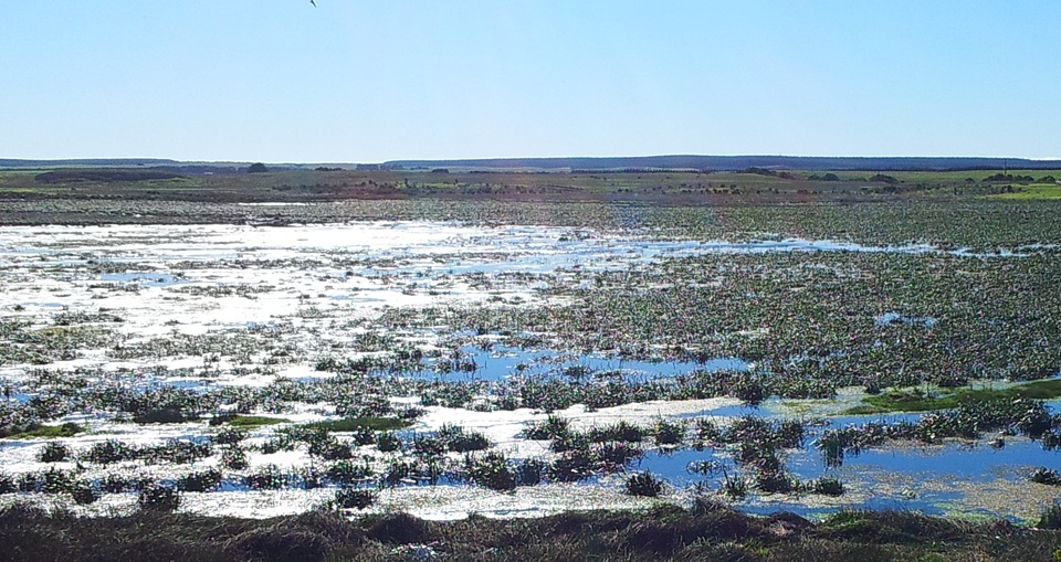 Robbie likes what he’s found; and is connecting wetlands / people