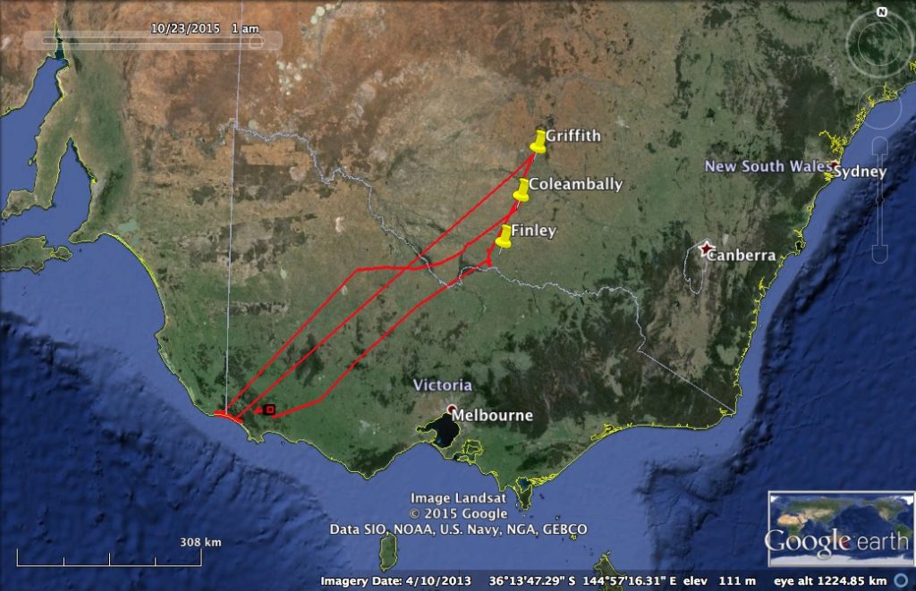 AA Robbie five border crossings