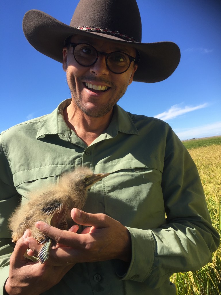 Threatened Species Commissioner Meets Bittern Chicks