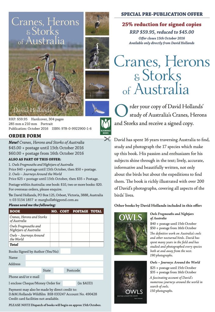cranes-herons-and-storks-promotional-flyer_a4_1-up