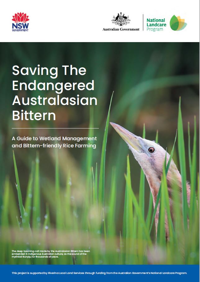 New Booklet: Saving The Endangered Australasian Bittern